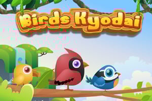 Birds Kyodai