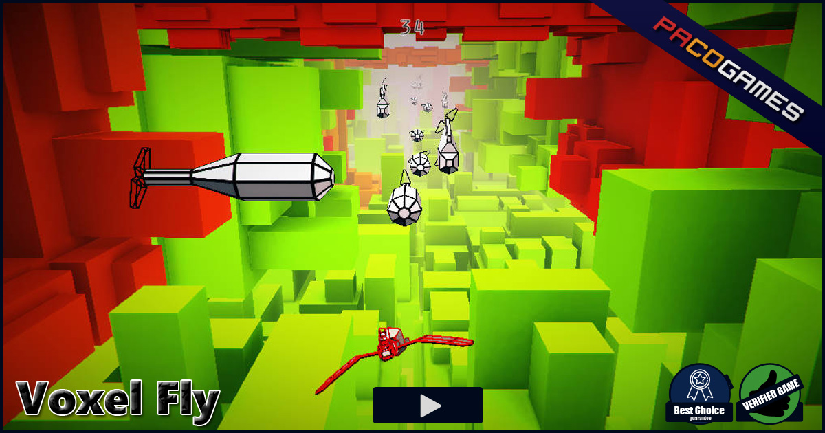 Voxel Fly